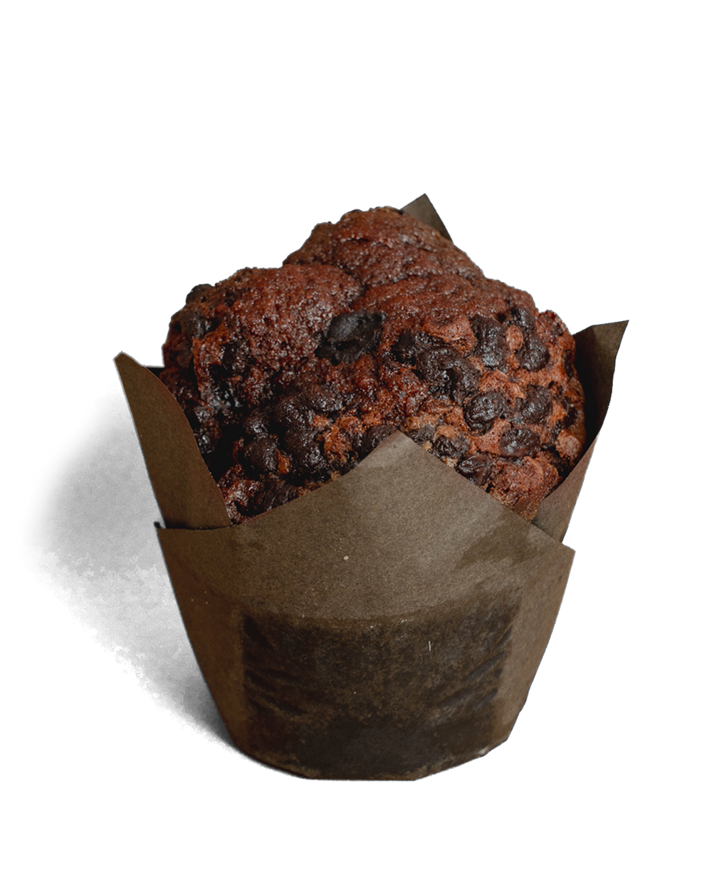 Chocolate Muffin