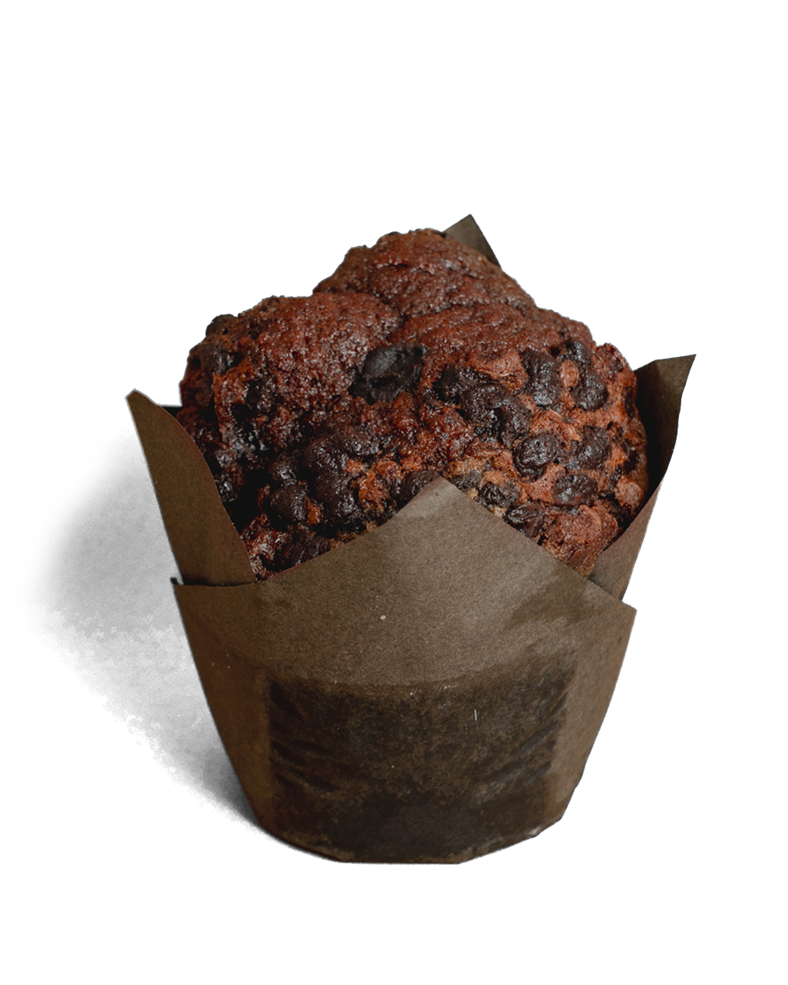 Chocolate Muffin